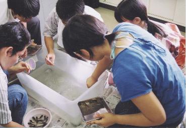 �I�^�}�W���N�V������