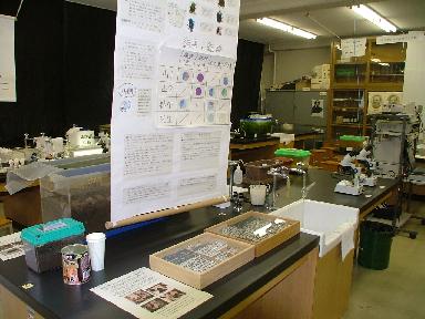 �I�^�}�W���N�V������