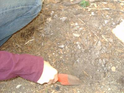 �����@��܂�