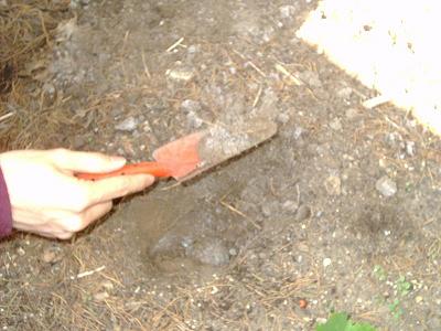 �Ђ�����@��܂�