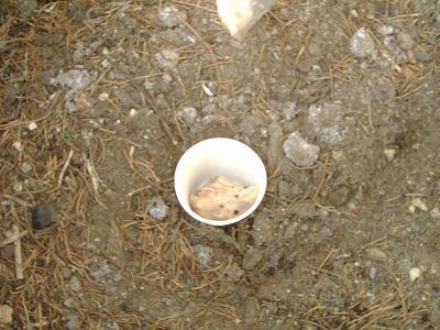 �g���b�v�𖄂ߍ��݂܂�