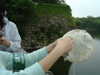 �v�����N�g���l�b�g