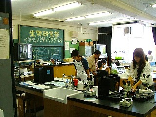 �����̗l�q