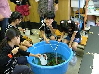 �U���K�j�ނ�̗l�q�P