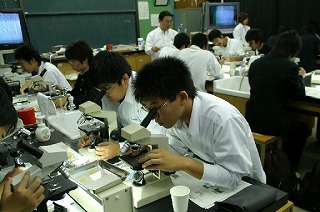 �v�����N�g���̊ώ@