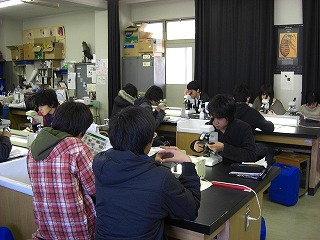 ��Q�񐶕�����