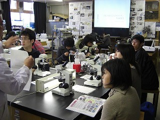 ���^�����̗l�q�ł�