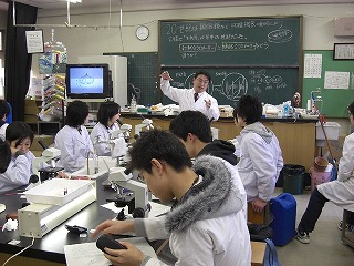 ���^�����̗l�q�ł�