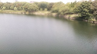 内濠の様子(西)