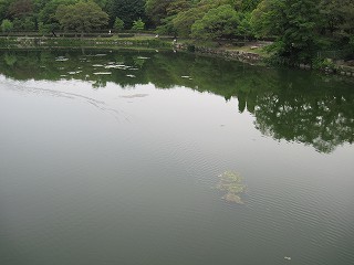 内濠の様子(西)