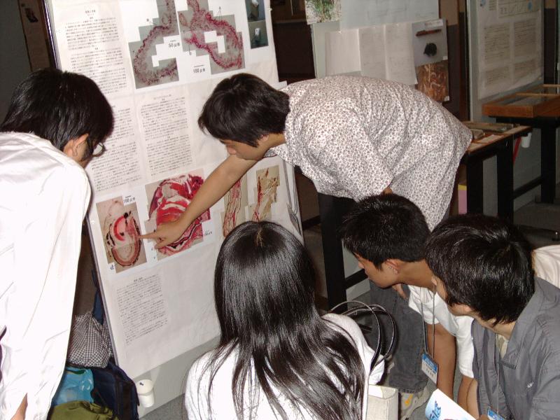 �q�h���E�A�t���J�c���K�G���̉i�v�v���p���[�g�̍쐬