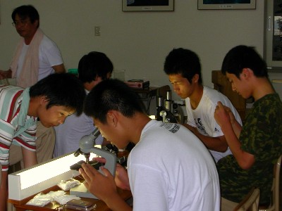 ���K���i�ł�