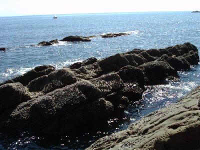 �E�j���������Ă��܂���