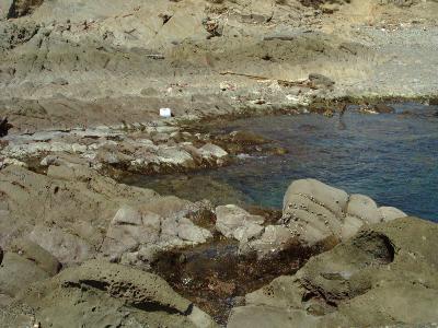 �쐂���̈�ł�