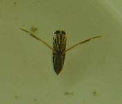 �R�}�c�����V