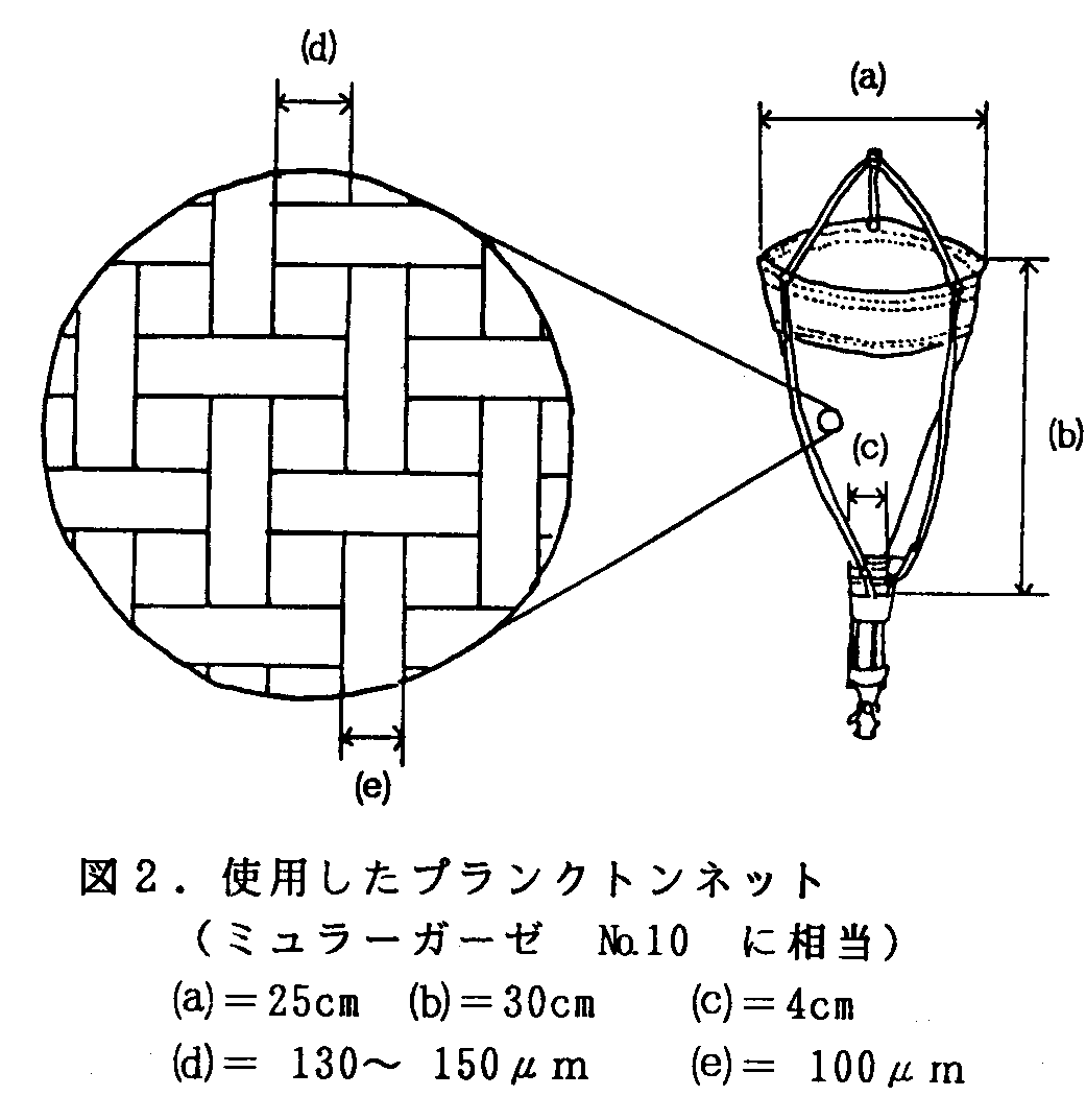 �v�����N�g���l�b�g