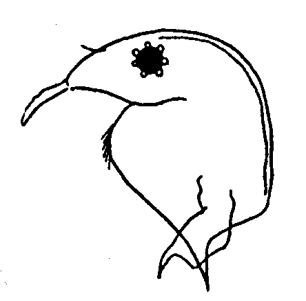 �]�E�~�W���R