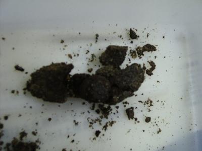 �����򂪁E�E�E