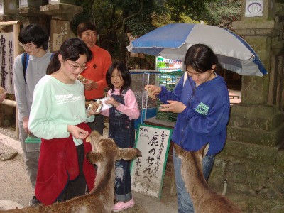 �ޗǌ����ώ@��