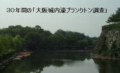 �v�����N�g������