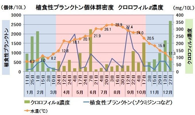 �H���H����֌W