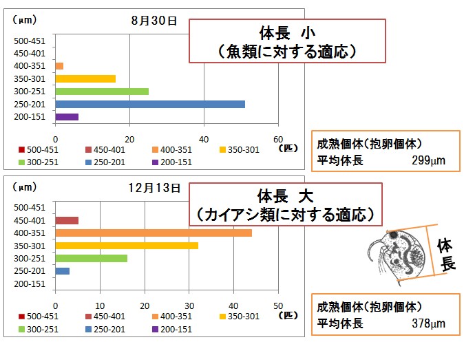 ���̕ߐH�ւ̓K��