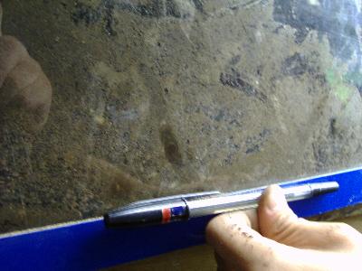 �g���l���̂悤�Ȃ��̂𔭌�